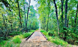 Nature Trail Tributer Resort (Bridge by Links Bridges)
