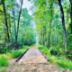 Nature Trail Tributer Resort (Bridge by Links Bridges)