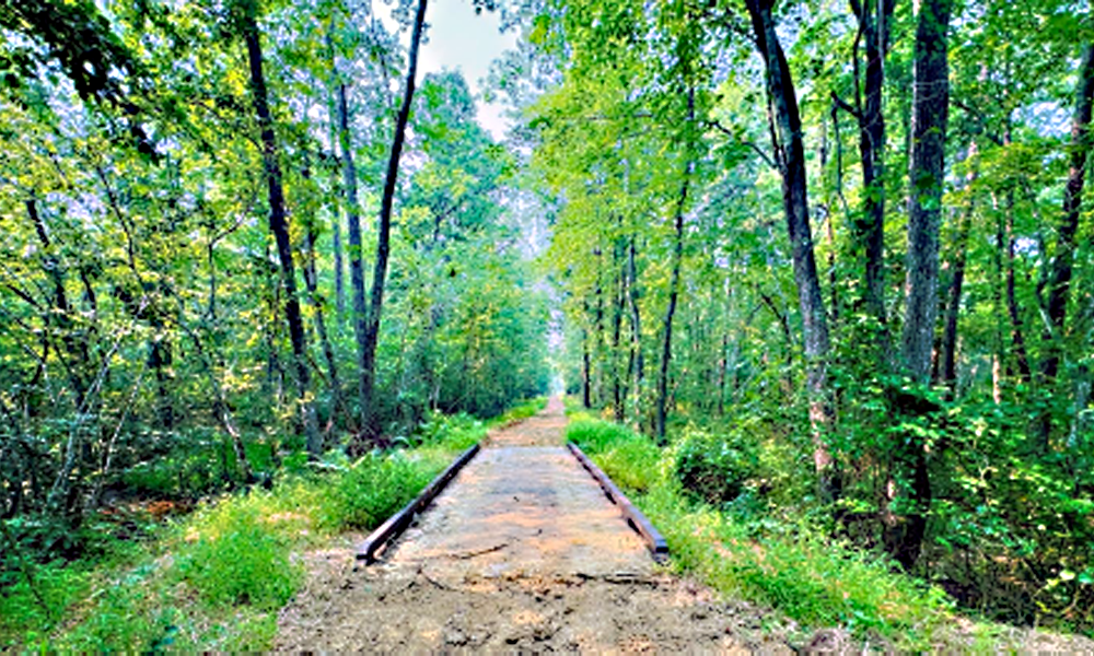 Nature Trail Tributer Resort (Bridge by Links Bridges)