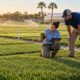 Florida Turf Research for Golf's Future